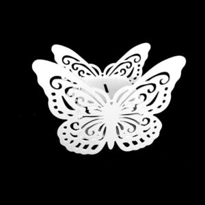 Butterfly Gift Box