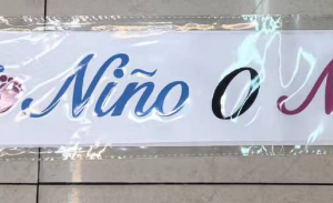 Male and Female Prediction Brand Names