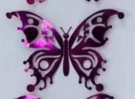 butterfly A