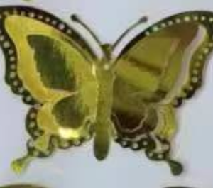 butterfly B