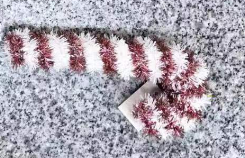 17*8 Christmas cane