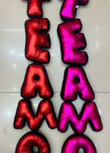 70CM letter TEAMO