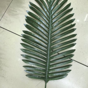 Big Sunflower Leaf