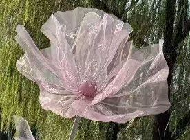Single flower