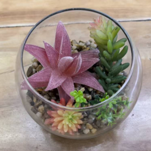 Green plants used for landscape creation in glass containers
