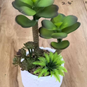 Combination of a white ceramic base with green plants