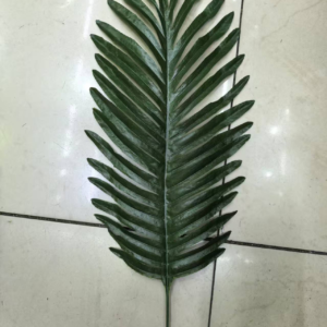 Little Sunflower Leaf